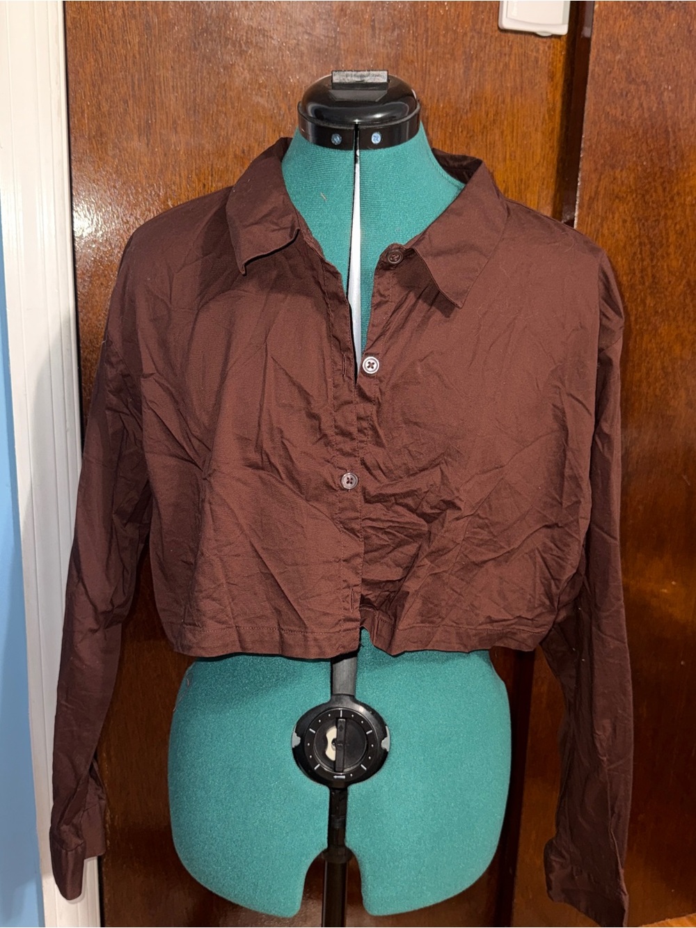 H&M Classic Cropped Button-Up Long Sleeved Shirt